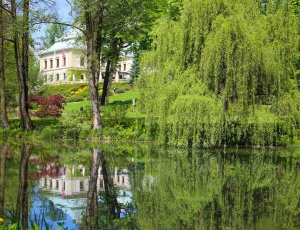 Manor House Spa - Odroważow Palace